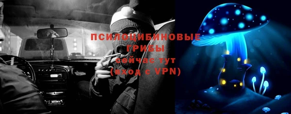 хмурый Алексин