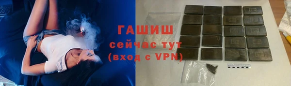 гашик Алексеевка
