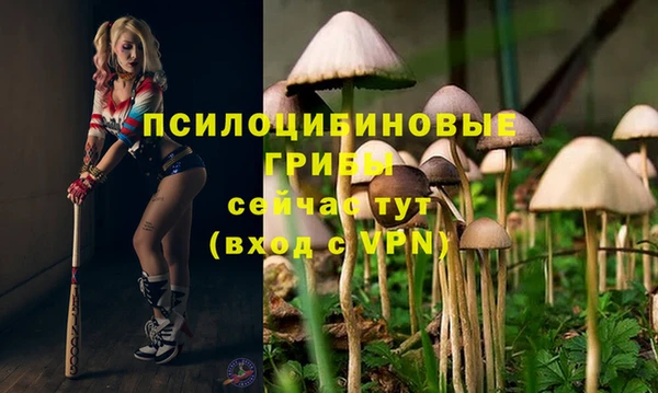 гашик Алексеевка