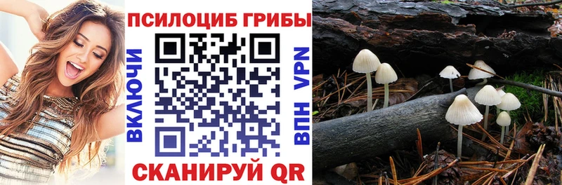Псилоцибиновые грибы Cubensis  наркота  Сыктывкар 